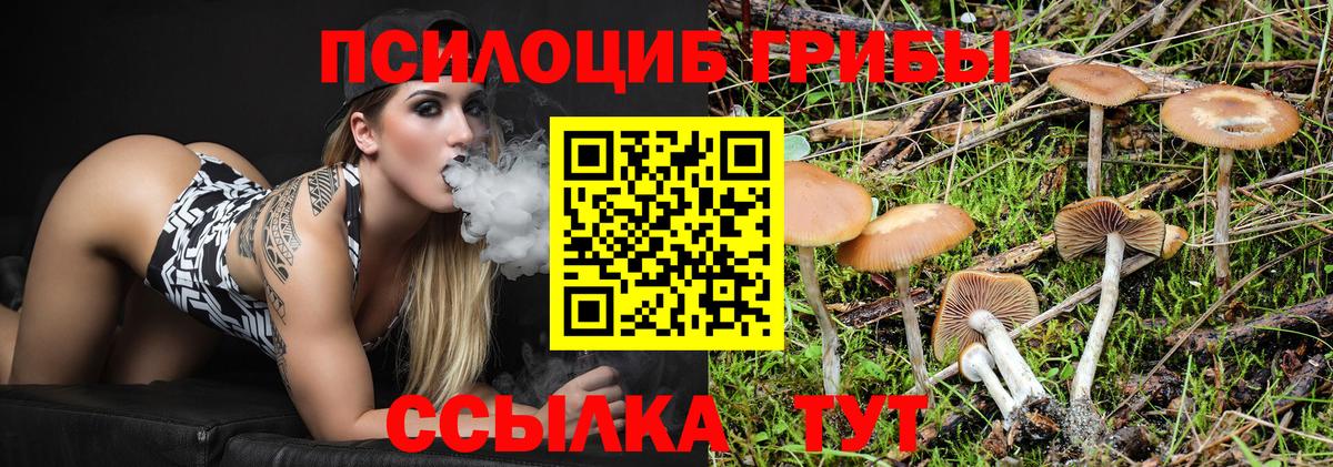 Галлюциногенные грибы ЛСД Михайловка