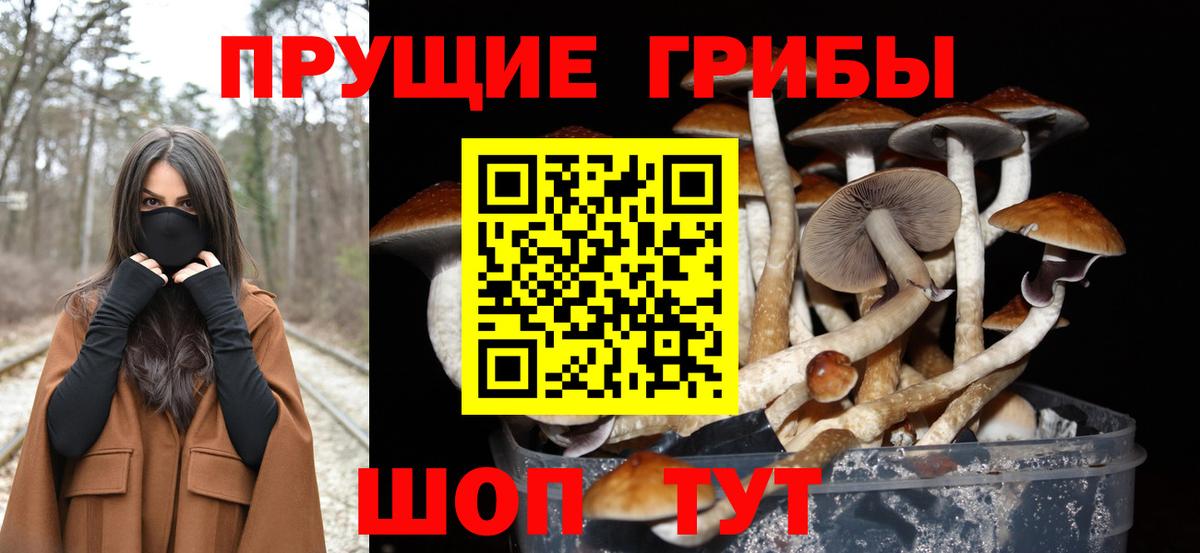 Псилоцибиновые грибы Psilocybine cubensis  Вход с VPN  Михайловка 